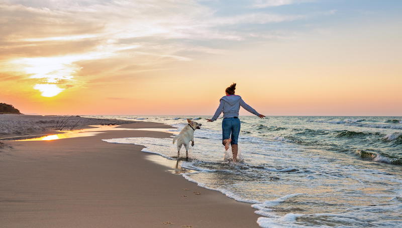 dog and woman on the beach running dog and woman on the beach running